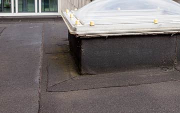 disadvantages of Congelow flat roofs