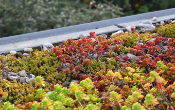 the cost of Congelow green roof installation