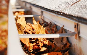 Congelow gutter cleaning companies