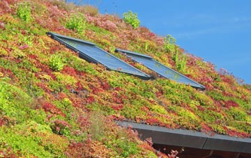 Congelow living roof systems