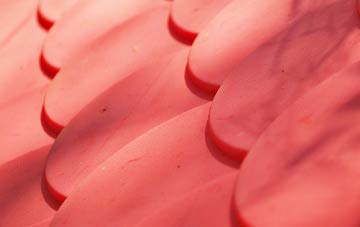 Congelow plastic roof costs