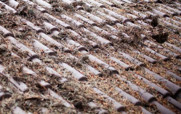 Congelow roof cleaning companies