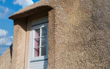 Congelow thatch roof disadvantages