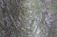 Congelow fibreglass roof work